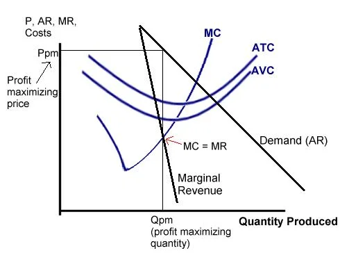 Maximizing Profits: Analyzing Your Business’s Bottom Line