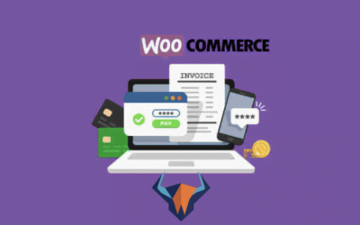 How to succeed a Woocommerce accounting for Ecommerce?